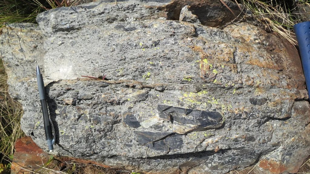 Deposits on this rock reflect a tsunami caused by a meteorite impact 3.26 billion years ago. (Image credit Nadja Drabon)
